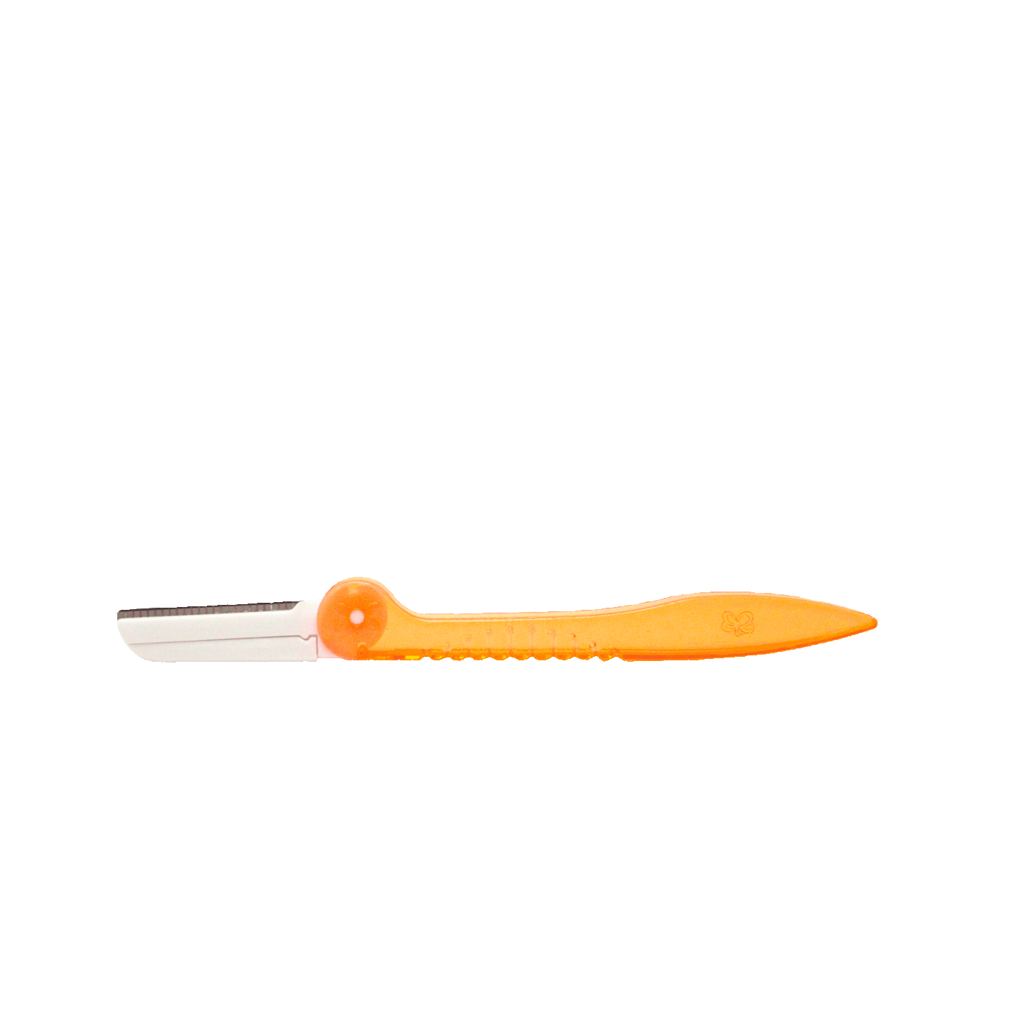 Disposable Stainless Steel Razor